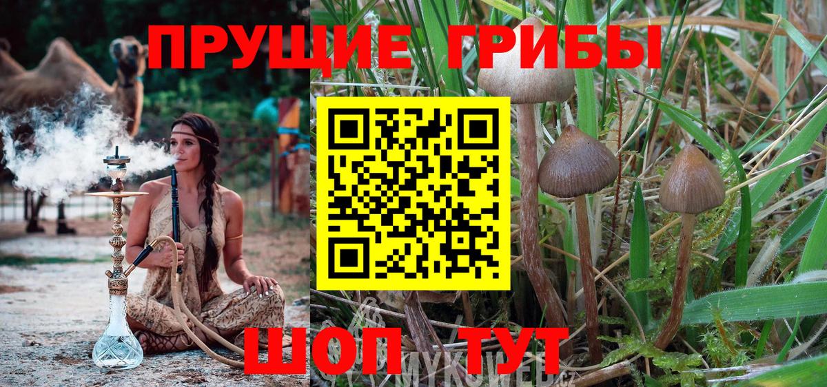 Псилоцибиновые грибы ЛСД Изобильный