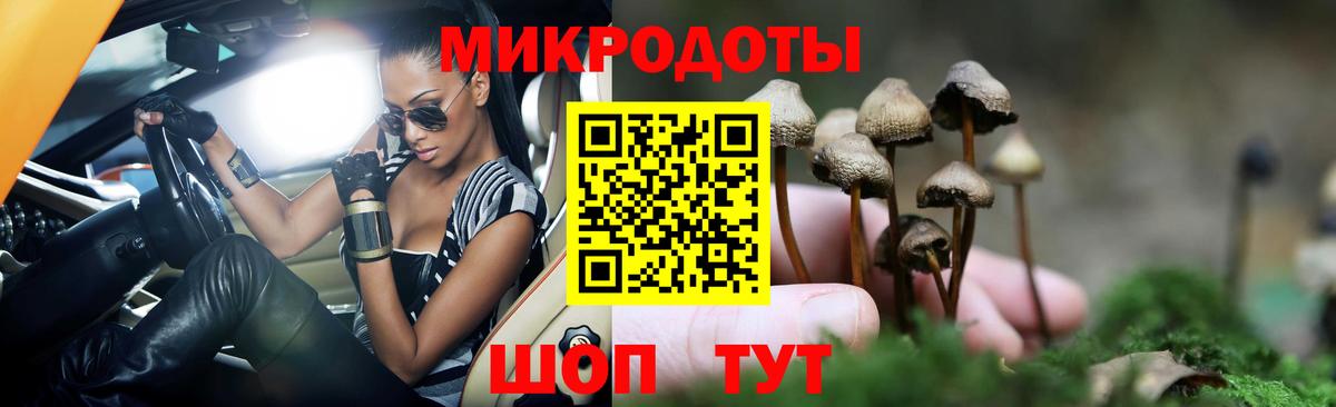 Галлюциногенные грибы прущие грибы  цена   Вход с VPN  Изобильный  Псилоцибиновые грибы Psilocybe 